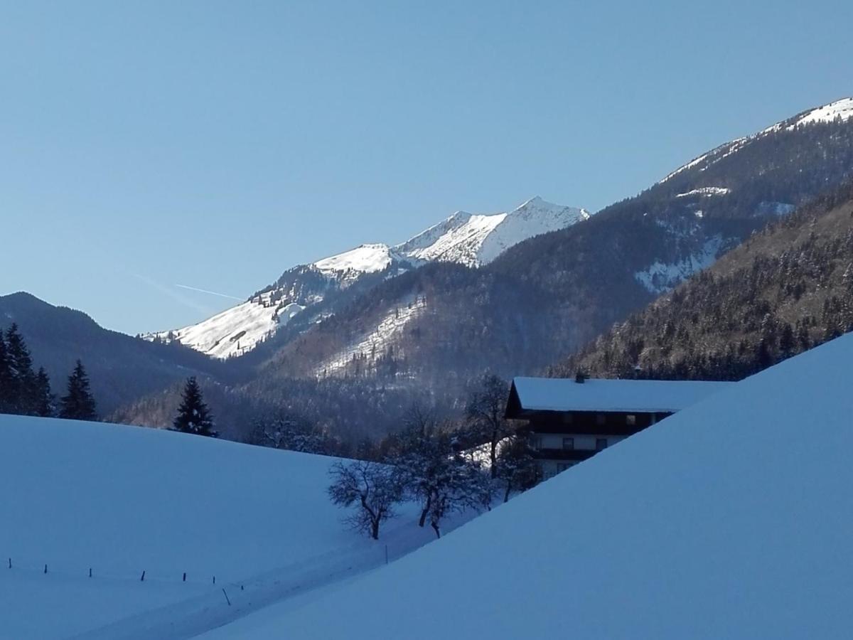 Bio-Bauernhof "Hecherhof" Thiersee Zewnętrze zdjęcie