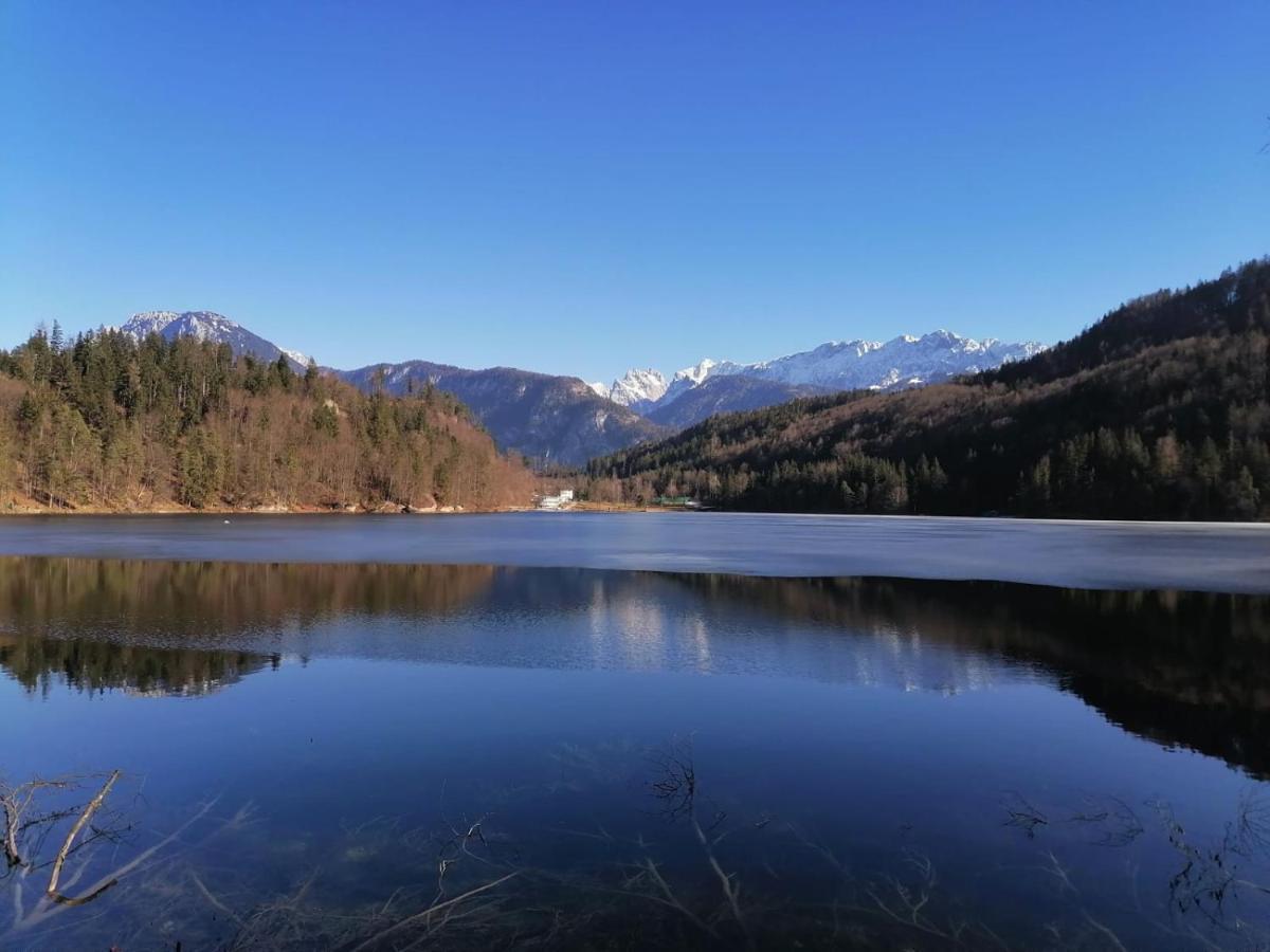 Bio-Bauernhof "Hecherhof" Thiersee Zewnętrze zdjęcie