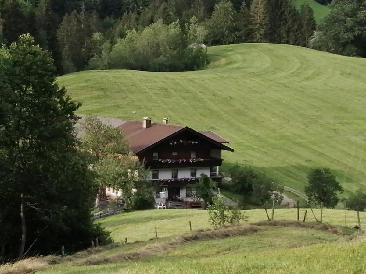 Bio-Bauernhof "Hecherhof" Thiersee Zewnętrze zdjęcie