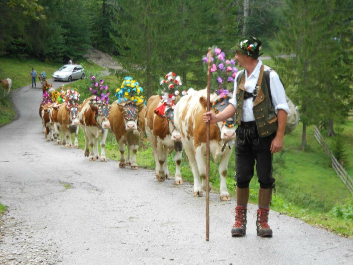 Bio-Bauernhof "Hecherhof" Thiersee Zewnętrze zdjęcie