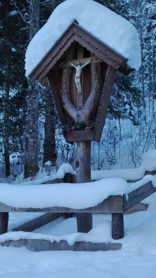 Bio-Bauernhof "Hecherhof" Thiersee Zewnętrze zdjęcie