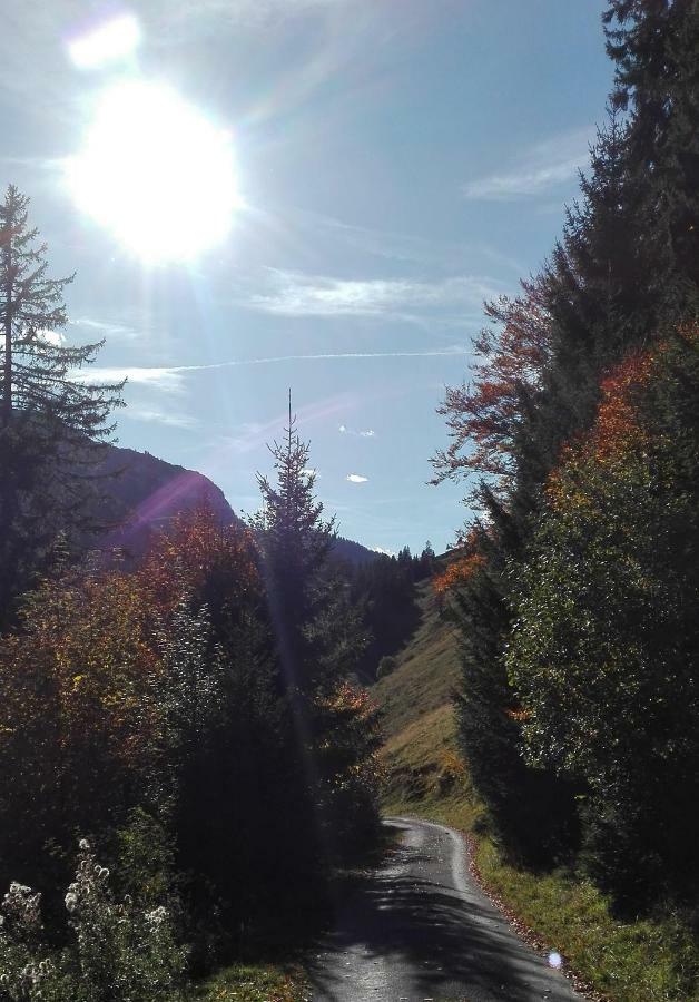 Bio-Bauernhof "Hecherhof" Thiersee Zewnętrze zdjęcie